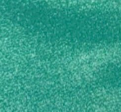 Lula Iridescent Green Top